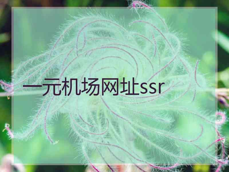 一元机场网址ssr